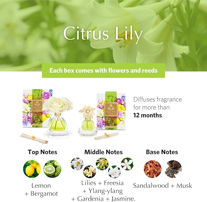 AGRARIA AirEssence & PetiteEssence Flower and Reed Diffuser Set, Luxury Home Fragrance Set, Scented Oil Reed Diffuser Gift for All Occasions