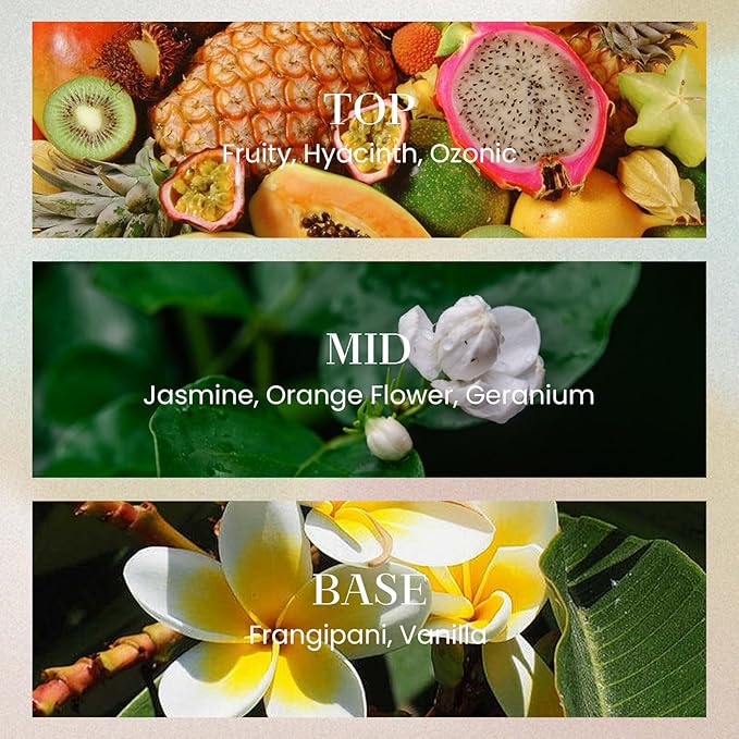 M&SENSE 6.3 oz Large Reed Diffuser Set | Jasmine Garland Scent Oil Diffuser with Sticks | Hotel Collection Non-Toxic Essential Oil |for Bedroom Bathroom Living Room