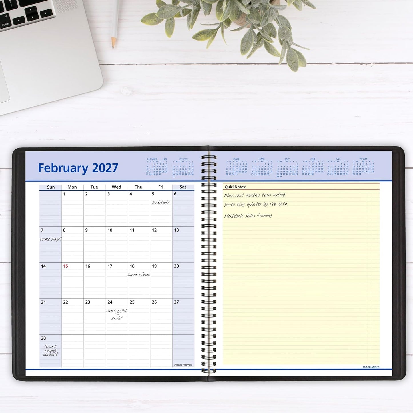 AT-A-GLANCE 2026 Appointment Book Planner, Weekly & Monthly, 8" x 10", Large, QuickNotes, Black (76010526)