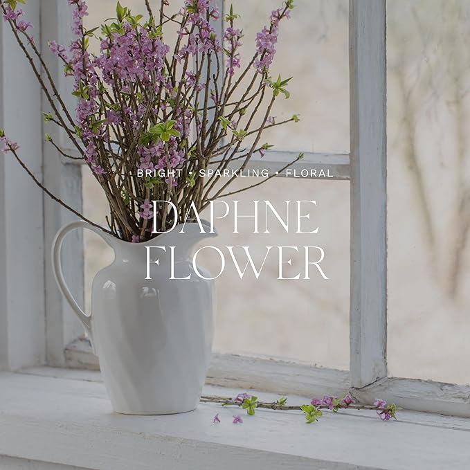 Antica Farmacista Home Ambiance Diffuser - Long-Lasting Reed Scent Diffuser - Luxury Room Freshener Gift - Daphne Flower, 16.9 fl oz