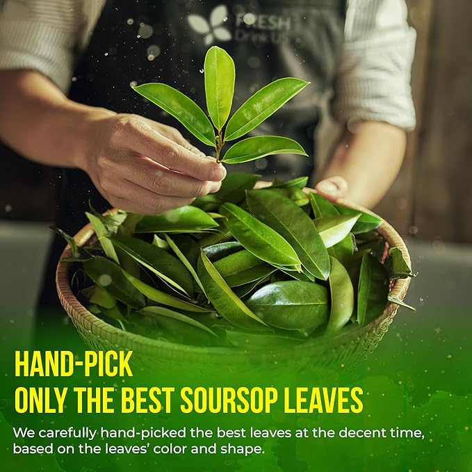 FreshDrinkUS, 240+ Premium Soursop Graviola Dried Leaves Tea, 230-250 Whole Soursop Leaves, Wildcrafted, Graviola , Guanabana , Hoja Guanabana, Loose Leaf Herbal , No Gluten, Vegan