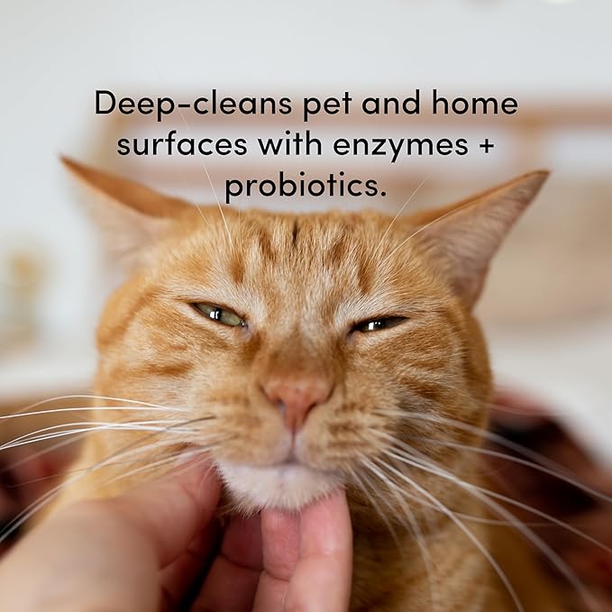 Clean Revolution SuperCharged Multi-Surface Cleaner, Non-Toxic, Eco-Friendly & Plant-Based, Ready to Use, Dreamy Citrus, 128 Fl Oz