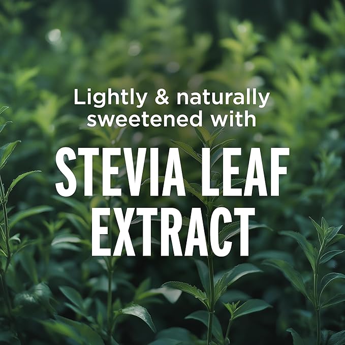 FOCUSAID ZERO SUGAR Nootropics Blend, Alpha-GPC, GABA, 100mg Natural Caffeine from Green Tea, Yerba Mate, Vitamin B-Complex, Keto-Friendly, No Artificial Sweeteners, 12 Fl Oz (Pack of 12)