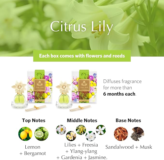 AGRARIA AirEssence & PetiteEssence Flower and Reed Diffuser Set, Luxury Home Fragrance Set, Scented Oil Reed Diffuser Gift for All Occasions