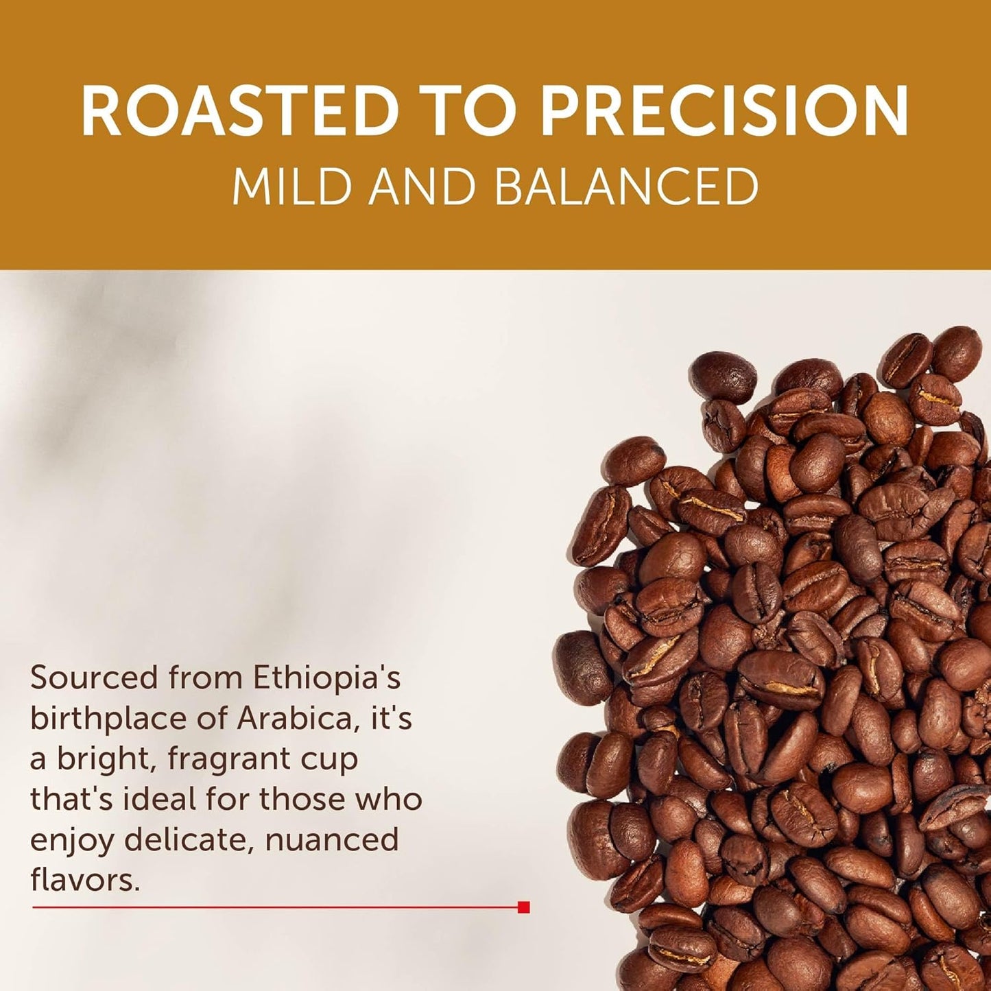 illy Arabica Selections, Ethiopia Whole Bean Coffee, 100% Arabica, Single Origin, Light Roast with Notes of Jasmine, All-Natural, No Preservatives, 8.8 Ounce Can (Pack of 6)