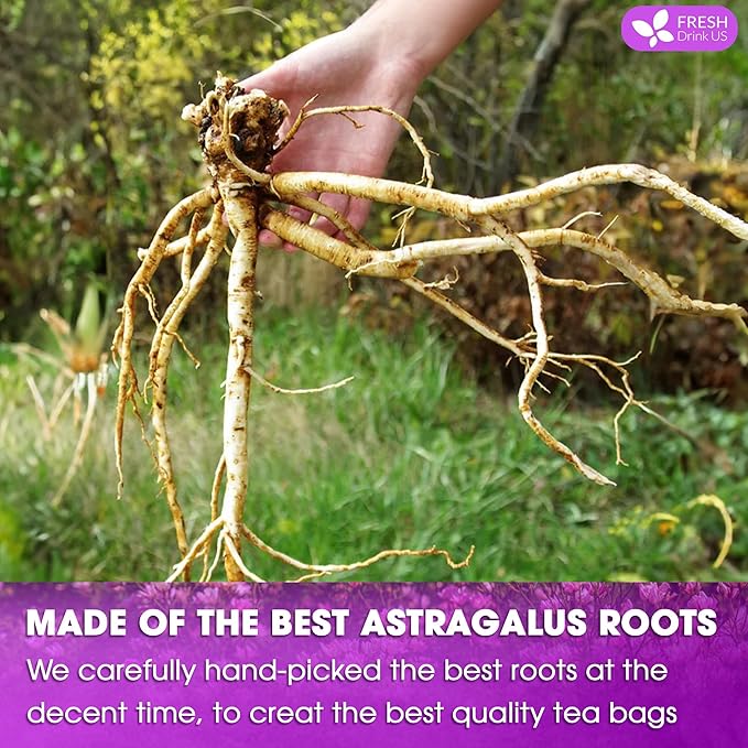 FreshDrinkUS, Premium 55 Astragalus Root Tea Bags, 100% Natural & Pure from Astragalus Root Herbal Tea. Made with Natural Material Tea Bags. No Sugar, No Caffeine, No Gluten, Vegan.