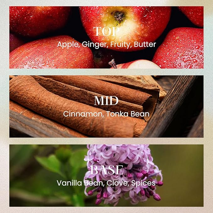 M&SENSE 10.14 oz Large Reed Diffuser Set | Cinnamon Vanilla Scent Oil Diffuser with Sticks |Hotel Collection Non-Toxic Essential Oil |for Bedroom Bathroom Living Room