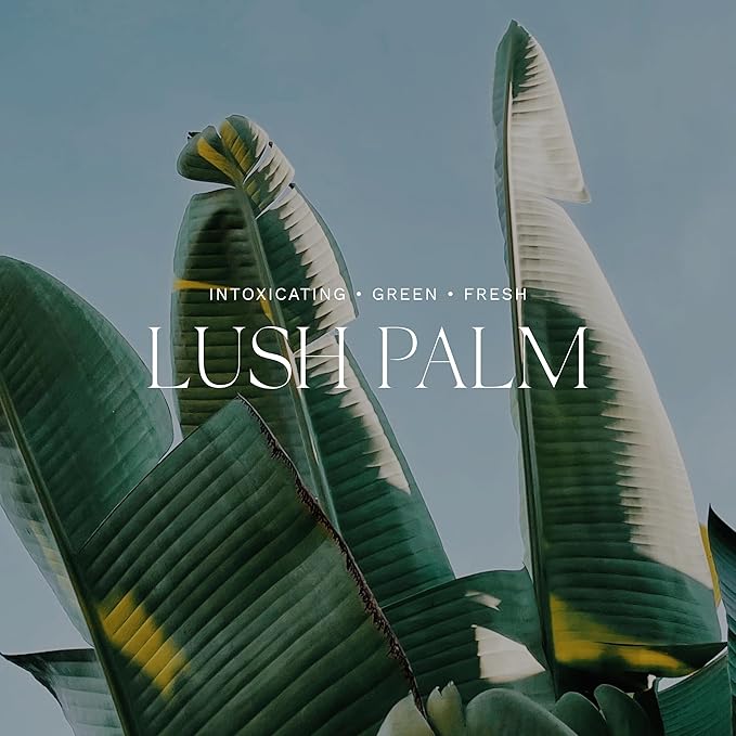 Antica Farmacista Home Ambiance Diffuser - Long-Lasting Reed Scent Diffuser - Luxury Room Freshener Gift - Lush Palm, 8.45 fl oz