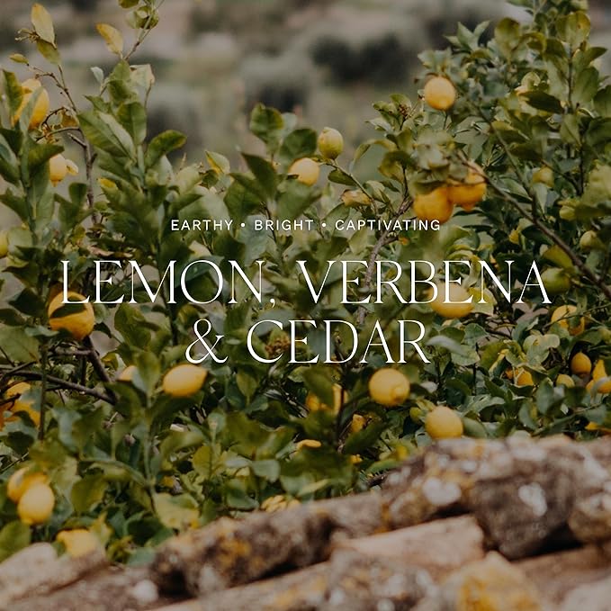 Antica Farmacista Home Ambiance Diffuser - Long-Lasting Reed Scent Diffuser - Luxury Room Freshener Gift - Lemon, Verbena & Cedar, 16.9 fl oz