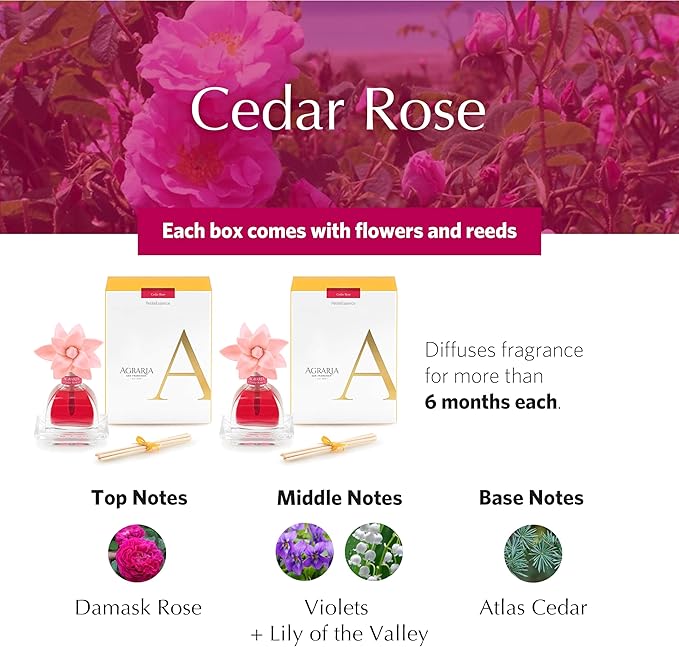 AGRARIA AirEssence & PetiteEssence Flower and Reed Diffuser Set, Luxury Home Fragrance Set, Scented Oil Reed Diffuser Gift for All Occasions