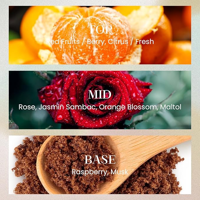 M&SENSE 10.14 oz Large Reed Diffuser Set | Red Camelia Scent Home Oil Diffuser with Sticks |Hotel Collection Non-Toxic Essential Oil |for Bedroom Bathroom Living Room