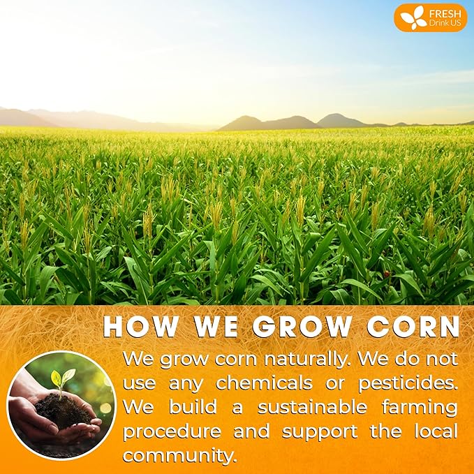 FreshDrinkUS, Premium 135 Tea Bags Corn Silk Tea, 100% Natural & Pure from Corn Silk. Herbal Tea. Clean Ingredients. Made with Natural Material Tea Bags. No Sugar, No Caffeine, Vegan.