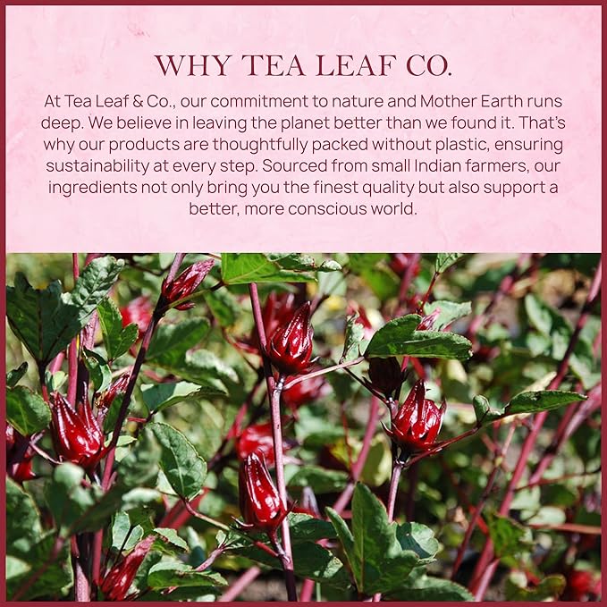 Tealeaf & Co. Hibiscus Tea with Hibiscus Flowers Extract - Pure Herbal Tea Bags Blended with Fresh Herbs - Flavored Herbal Blend - Low Caffeine - Gluten Free - 50 Teabags