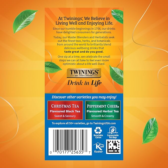 Twinings Winter Spice Herbal Tea Individually Wrapped, 20 Count (Pack of 1), Camomile, Apple, Cinnamon, & Clove, Naturally Caffeine-Free, Enjoy Hot or Iced, 20 Teabags