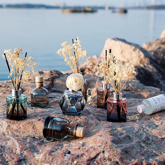 Brakula 2 Pack Reed Diffuser, Eucalyptus & Wild Mint+Lavender Vanilla (3.38 fl oz Each Pack), Home Fragrance with 12 Sticks, Shelf Decor, Reed diffusers for Home