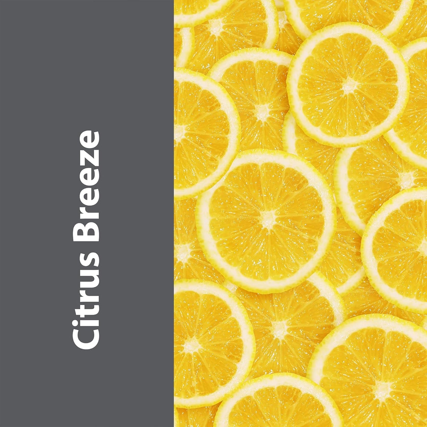 Pro-Grade All-Purpose Cleaner & Deodorizer - Deep Cleaning & Odor Eliminating Formula For Professional & Home Surfaces - 32 Ounce Concentrate - Citrus Breeze, 2 Pack