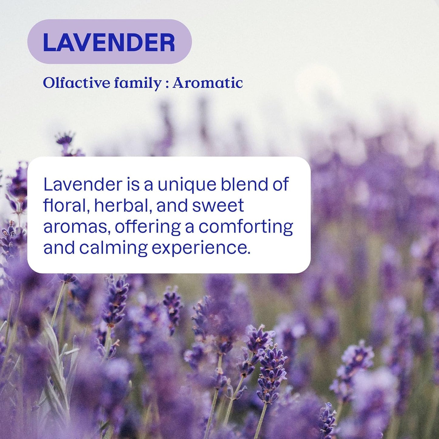 ATTITUDE All Purpose Cleaner Spray, EWG Verified, Vegan, Made with 94% Plant-Based Ingredients, Streak-Free for Kitchen, Bathroom, Glass & More, Lavender, 27.1 Fl Oz (Pack of 3)