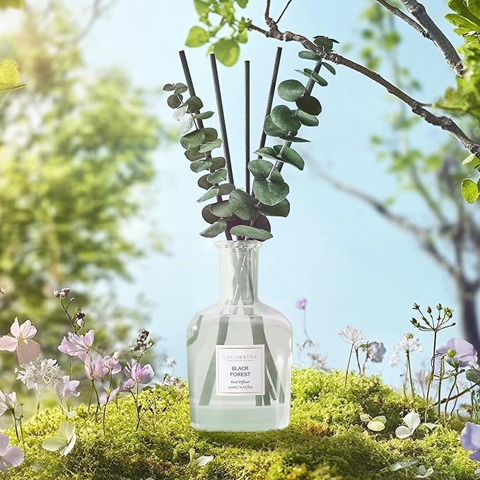 COCORRÍNA Black Forest Reed Diffuser – 6.76 oz Essential Oil with Sticks & Dried Eucalyptus Branches, Home Fragrance for Bedroom or Bathroom Décor