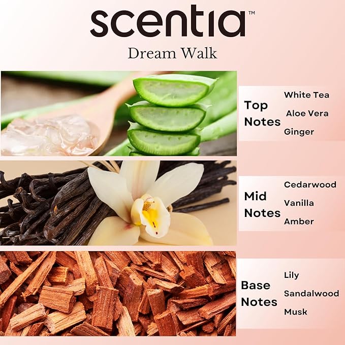 Scentia Hotel Diffuser Oil Inspired by The Hotel Scent - 20 ml 0.67 fl oz - Essential Oil Blend White Tea, Cedarwood Notes for Aromatherapy Diffusers and Humidifiers - Dream Walk, Thanksgiving Gift