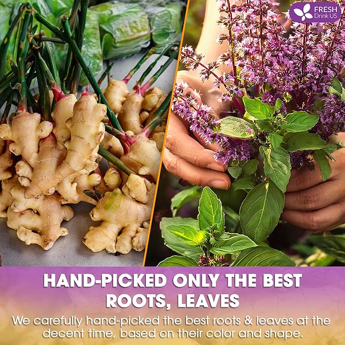 FreshDrinkUS, Premium 135 Ginger Tulsi Tea Bags, 100% Natural, Hand-made Blend of Ginger and Tulsi Holy Basil Leaves, Eco-conscious Tea Bags. Herbal Tea. No Sugar, No Caffeine, Vegan.