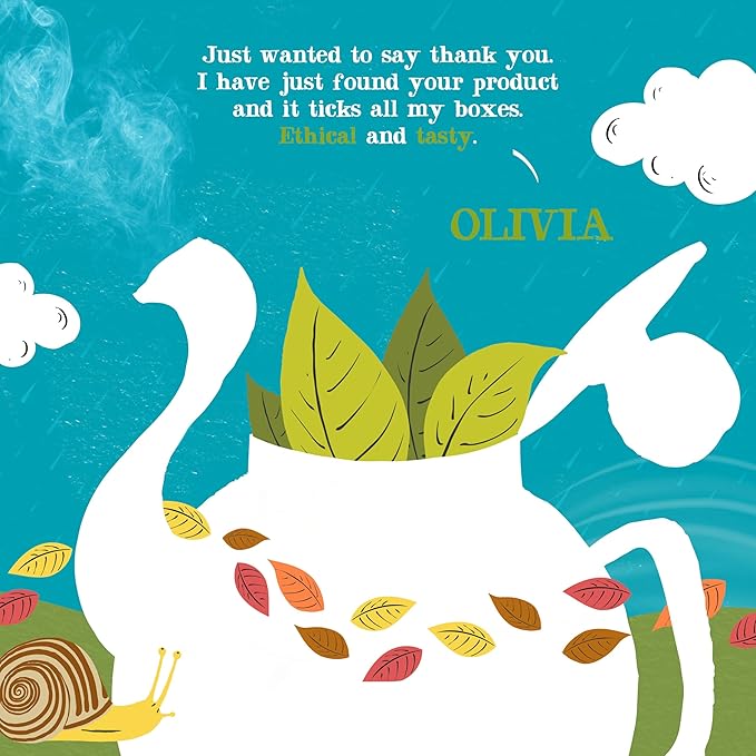 Clipper Tea, Organic Fairtrade Everyday, Organic, USDA Non-GMO, Fair Trade, Sustainable Caffeinated Tea, 1 Pack, 80 Unbleached Tea Bags