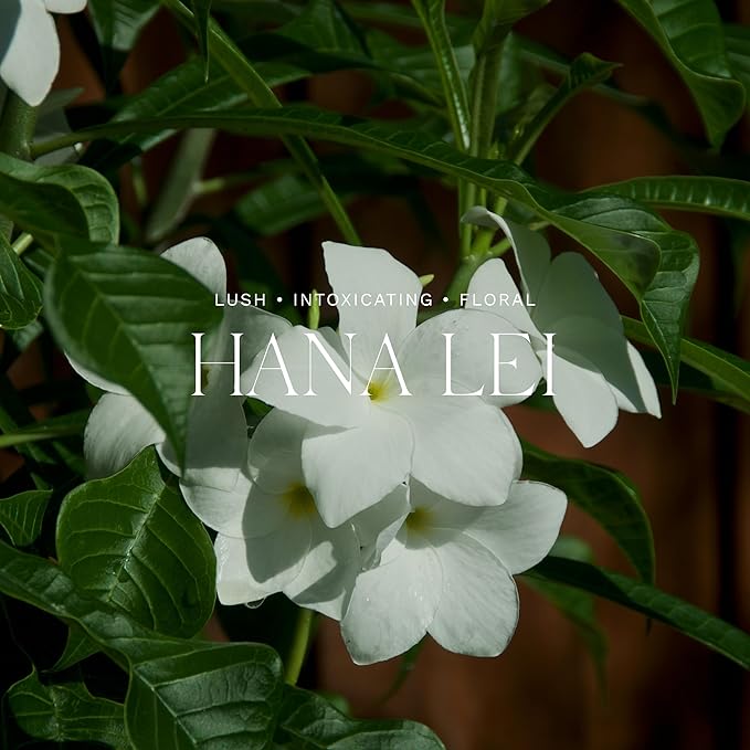 Antica Farmacista Home Ambiance Diffuser - Long-Lasting Reed Scent Diffuser - Luxury Room Freshener Gift - Hana Lei, 8.45 fl oz