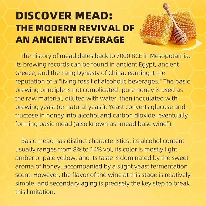 Mead Making Kit for Beginners 1 Gallon Home Brewing Kit with Glass Fermentation Jar Siphon Airlock Stopper Temperature Labe Funnel Hydrometer Reusable DIY Honey Wine Starter Set