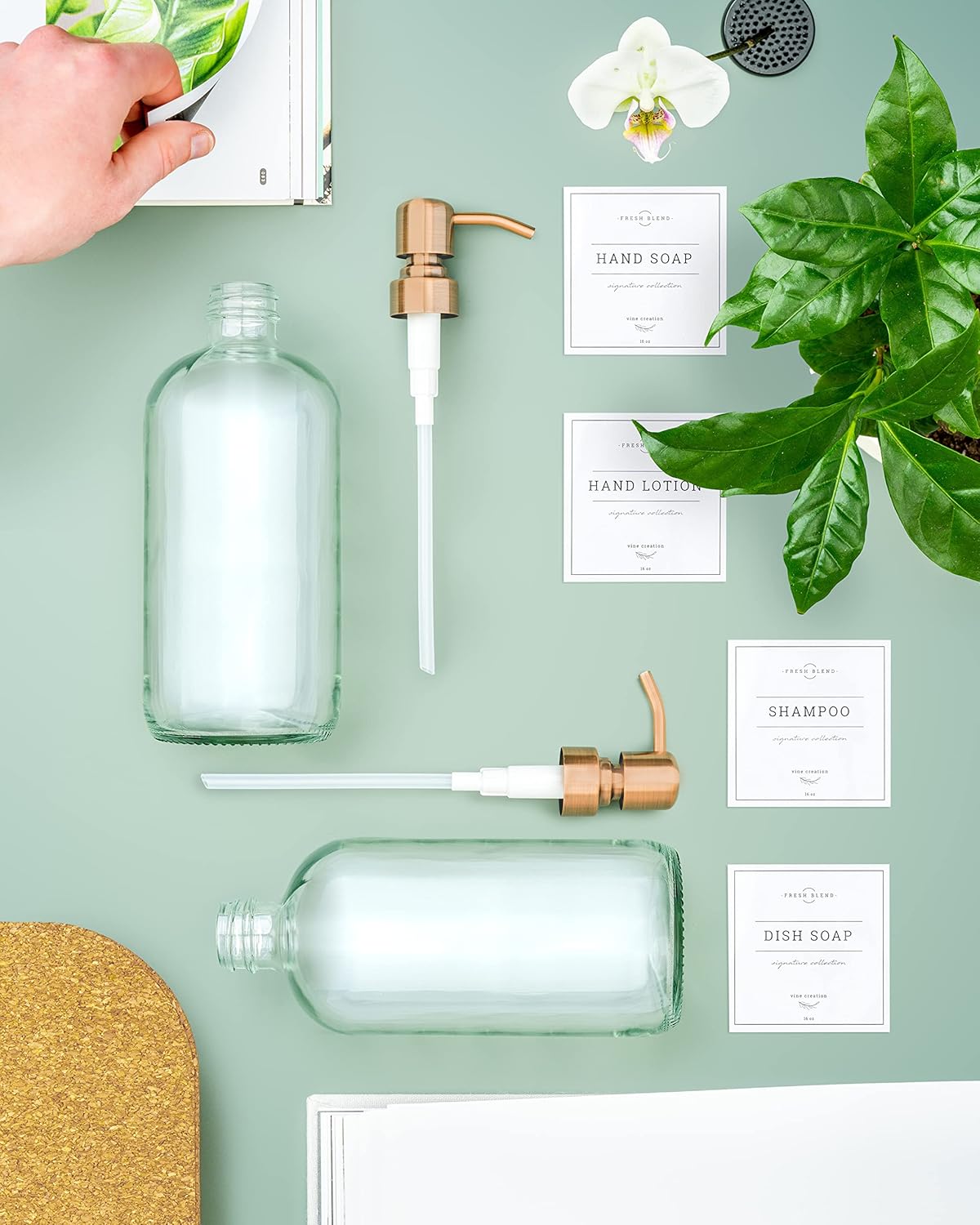 Vine Creations Clear Glass Soap Dispenser, 2 Pack Kitchen Soap Dispenser Set with Stainless Steel Pump, 16 oz Dish Soap and Hand Soap Dispensers for Bathroom with Waterproof Labels