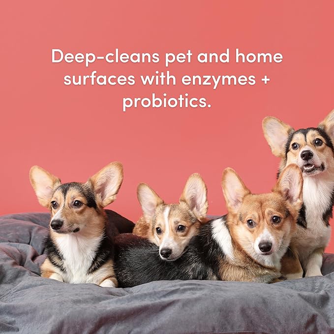 Clean Revolution SuperCharged Multi-Surface Cleaner, Non-Toxic, Eco-Friendly & Plant-Based, Ready to Use, Geranium Mint, 18 Fl Oz