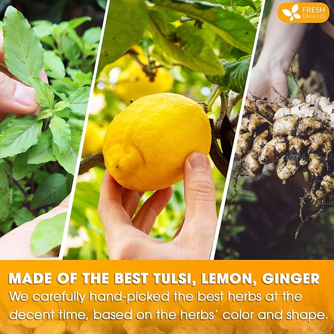 FreshDrinkUS, Premium 55 Tulsi Lemon Ginger Tea Bags, 100% Natural & Pure from Tulsi Holy Basil Leaves, Lemon and Ginger. Made with Natural Material Tea Bags. No Sugar, No Caffeine, Vegan.