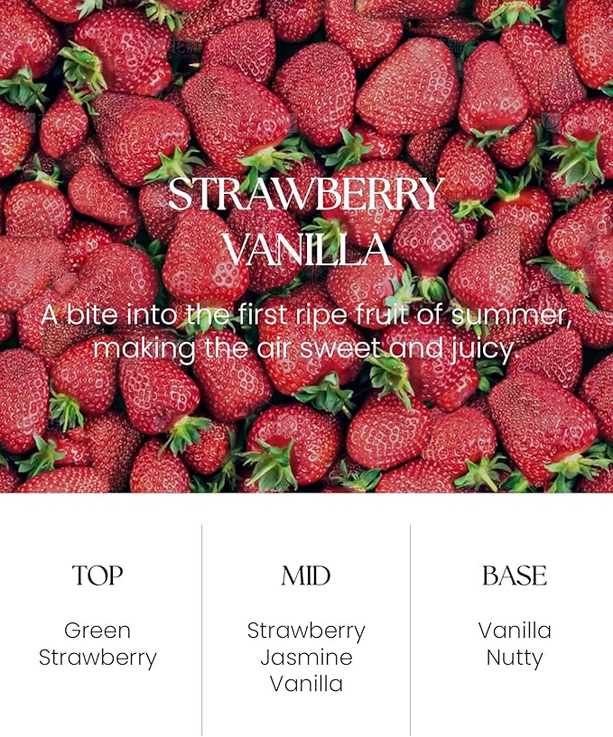 M&SENSE Strawberry Vanilla Scent Reed Diffuser Set - 8.79fl oz Home Fragrance Non-Toxic Essential Oil Diffuser with All Natural Sticks, Long Lasting Air Freshner Gifts for Housewarming Gift