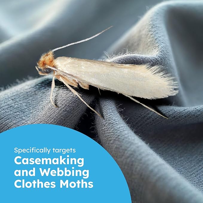 BugMD Clothes & Pantry Moth Traps (6 Count) – Sticky Glue Pheromone-Based Repellent for Closets, Cabinets & Wardrobes – Non-Toxic - White