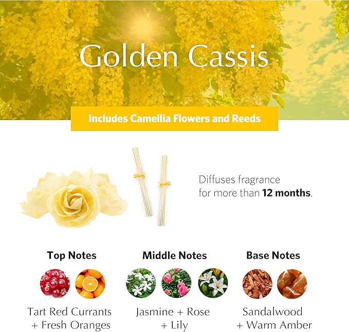 AGRARIA AirEssence Flower and Reed Diffuser Set, Handmade Sola Flower Botanical Home Fragrance Set, Scented Oil Reed Diffuser Gift for All Occasions