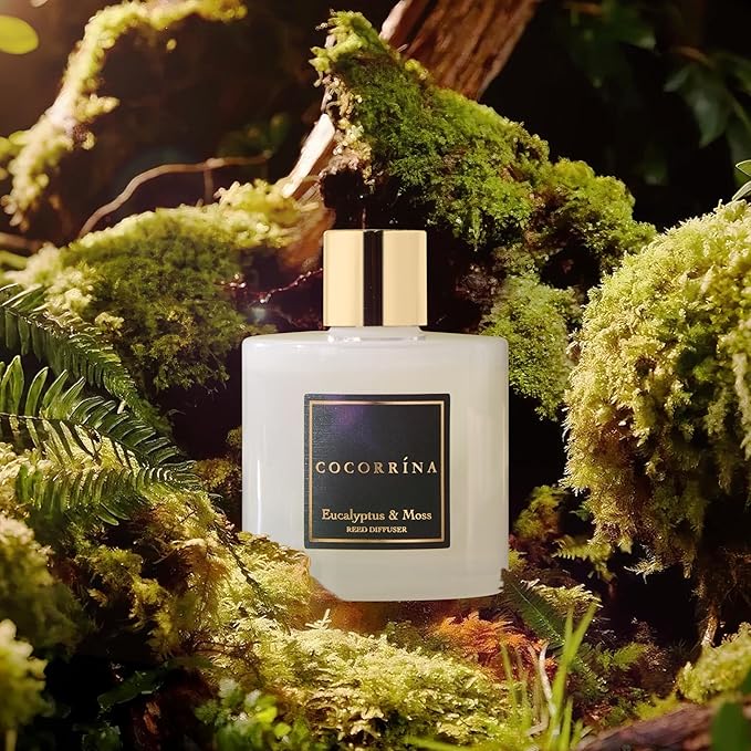 Cocorrína Reed Diffuser Sets- Eucalyptus & Moss Scented Diffuser with Sticks Home Fragrance Reed Diffuser for Bathroom Shelf Decor