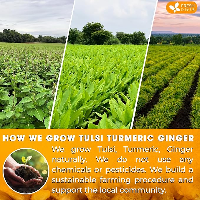 FreshDrinkUS, Premium 135 Tulsi Turmeric Ginger Tea Bags, 100% Natural & Pure from Tulsi Holy Basil Leaves, Turmeric and Ginger. Made with Natural Material Tea Bags. No Sugar, No Caffeine, Vegan.