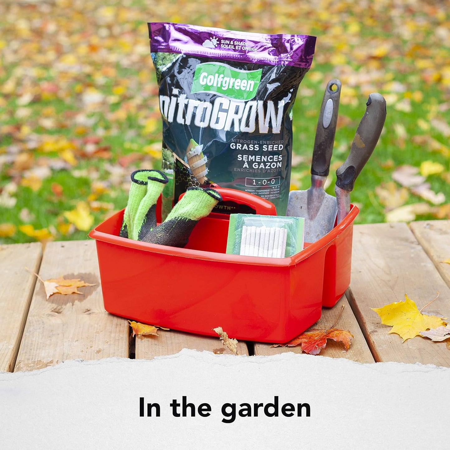 Storex 2-Compartment Large Craft Caddy – Multipurpose Classroom Organizer with Handle, Red, 1-Pack (00954C06C)