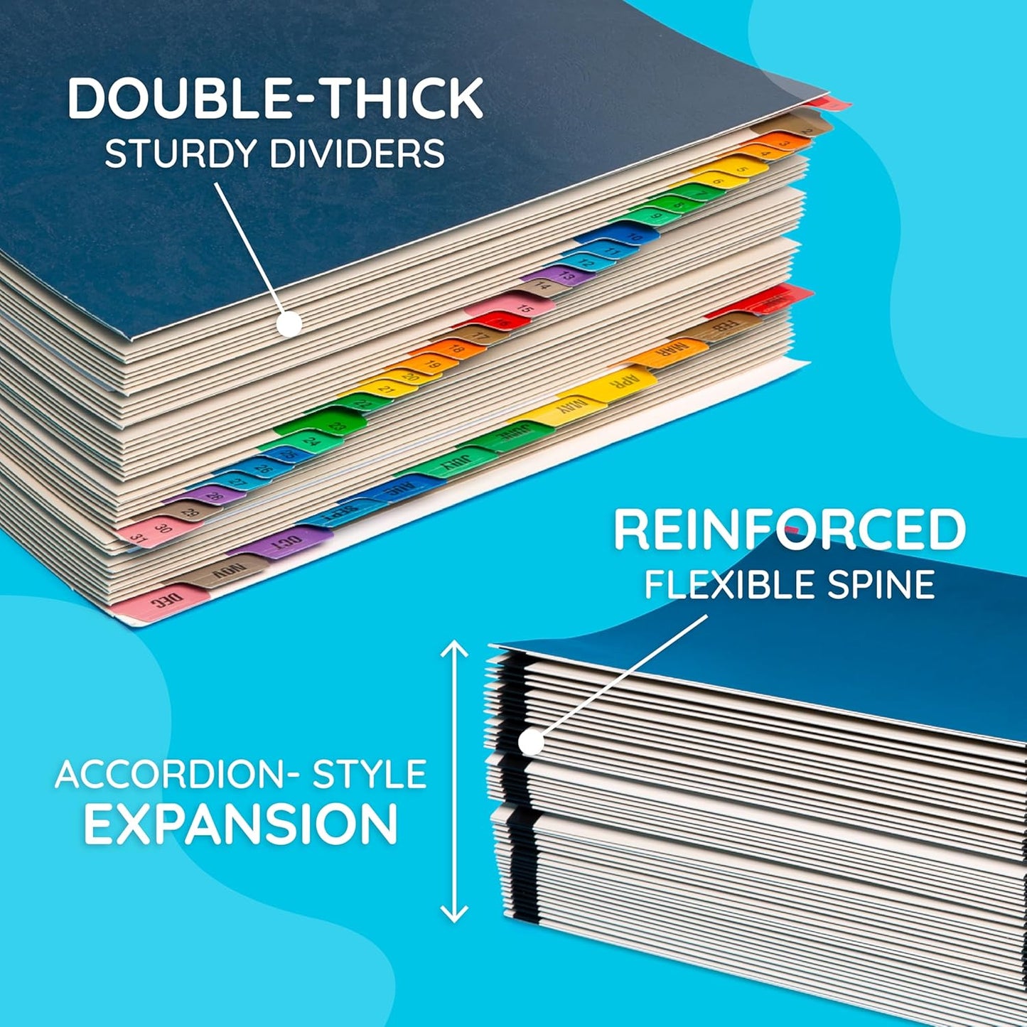 Blue Summit Expandable Monthly File Organizer, Tickler File Combo 31 Daily and 12 Monthly Tabs, Letter Size 12 Month Folder Organizer for Invoices and Documents